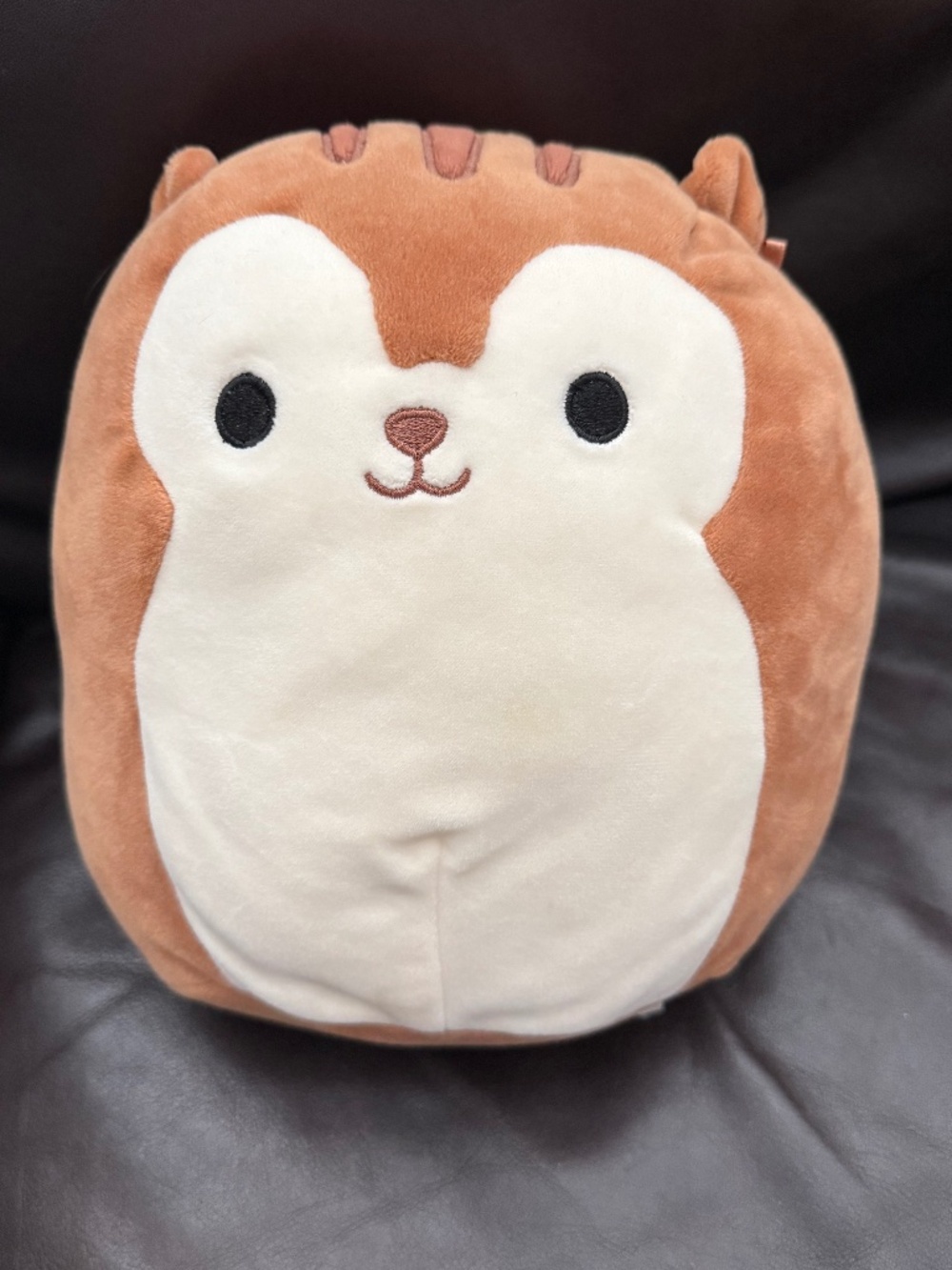 Squishmallows Sawyer the Squirrel 8" Brown Plush Kellytoy